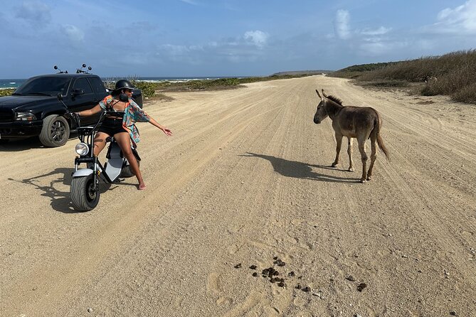 1/2 Day (4 hour) Electric Scooter Rental in Aruba - Four hours on quiet wheels: why this works in Aruba