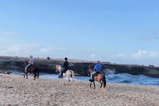 2-Hour Horseback Riding Tour to Little Natural Bridge in Aruba - Wariruri Beach Leads to Little Natural Bridge: Where the Sea Breeze Takes Over