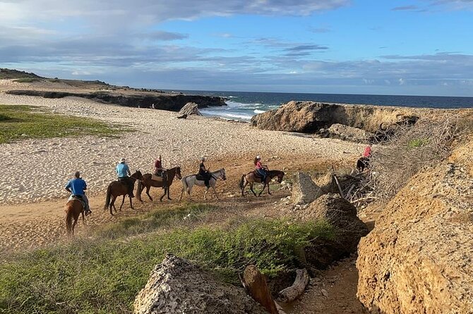 2-Hour Horseback Riding Tour to Little Natural Bridge in Aruba - The Value Question: Is $116 Worth It for 2 Hours on Horseback?
