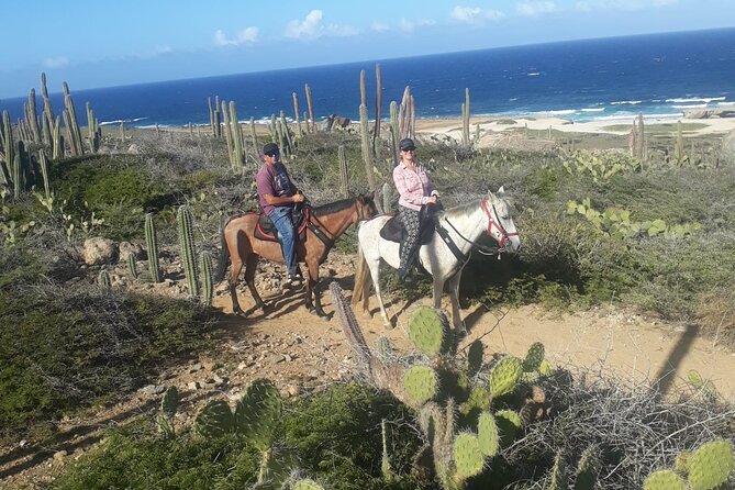 2-Hour Horseback Riding Tour to Little Natural Bridge in Aruba - What to Wear and Bring for a Hot, Rocky Trail
