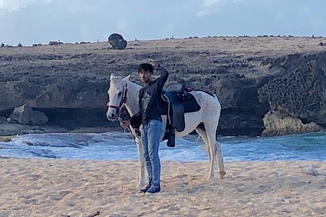 2-Hour Horseback Riding Tour to Little Natural Bridge in Aruba - Final Thoughts: Should You Book This Little Natural Bridge Horse Tour?