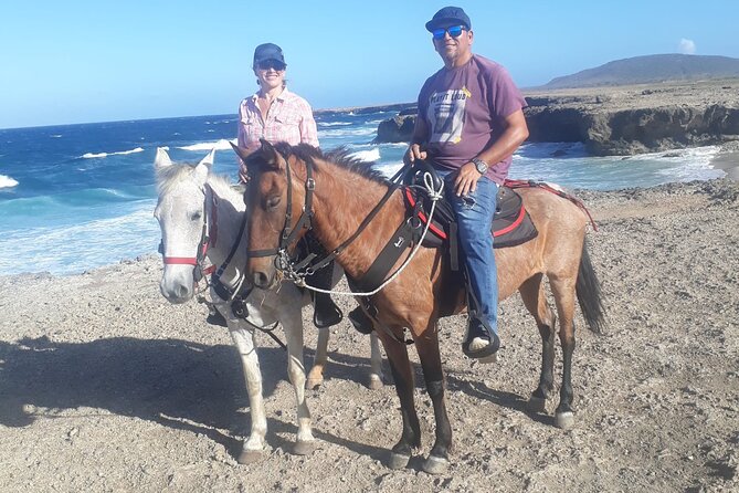 2-Hour Horseback Riding Tour to Little Natural Bridge in Aruba - Horse Matching and the Quick Orientation You’ll Actually Use