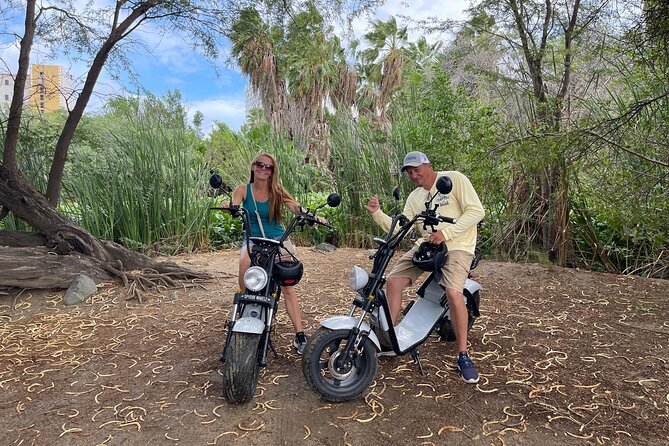 3-Hour Electric Scooter Island Tour in Aruba (1 or 2-seater) - Bubali Bird Sanctuary: Wetlands Quiet After the Coast