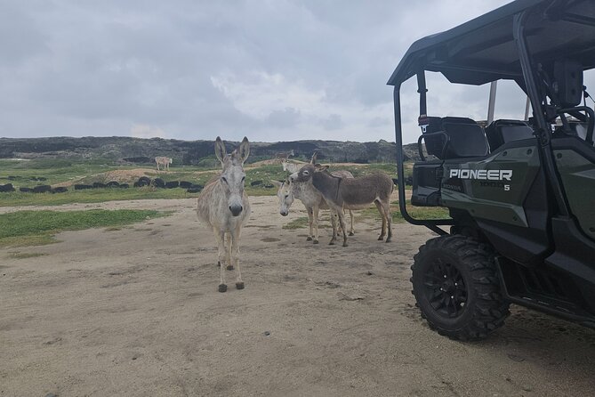 4-seater UTV Island 4hr Tour in Aruba, morning or afternoon - Ayo Rock Formations: sandy roads, sharp views, and big shapes
