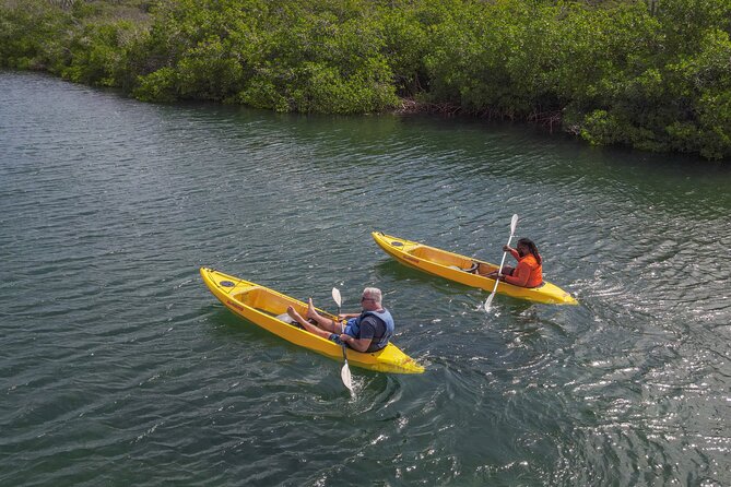 Adventurous Clear Kayak And Snorkeling Tour At Mangel Halto - Snorkeling at Two Reef Locations: What You’re Likely to See