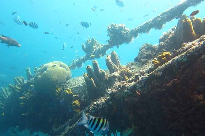 Antilla Shipwreck Seabob Tour - Seabob + Antilla wreck: why this tour feels different