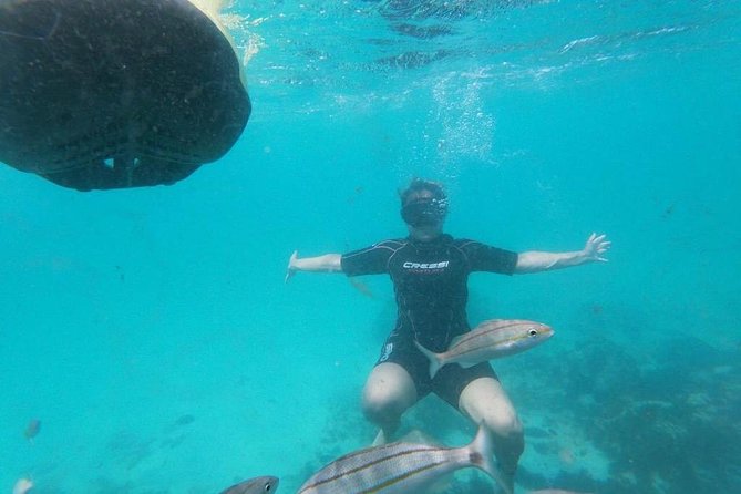 Antilla Shipwreck Seabob Tour - What the Seabob actually gives you (beyond “it’s fun”)