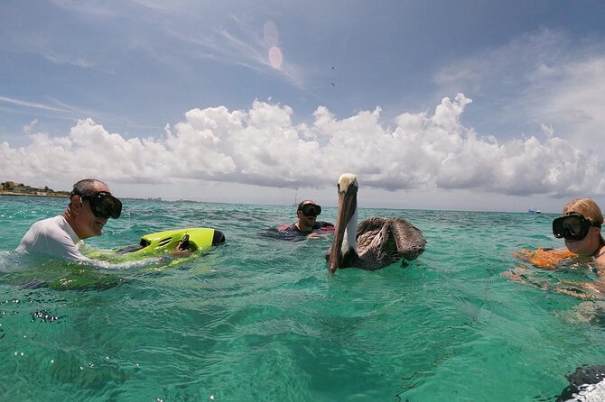 Antilla Shipwreck Seabob Tour - Small group touring: up-close guidance without the crowd