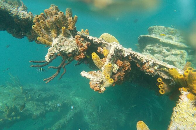 Antilla Shipwreck Seabob Tour - Sea conditions and motion sickness: the one factor you can’t ignore