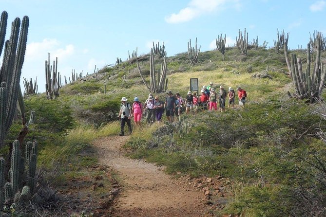 Arikok Adventurous Hiking Experience in Aruba - Price and Logistics: What $57 Buys You in Aruba