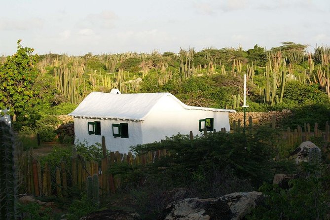 Arikok Adventurous Hiking Experience in Aruba - Historical Stops and the Big Picture of Arikok