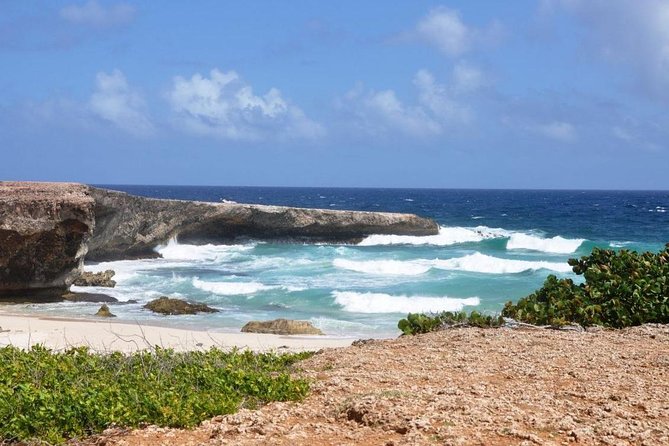 Arikok Adventurous Hiking Experience in Aruba - Visitors’ Center: Learn the Names Before You See Them