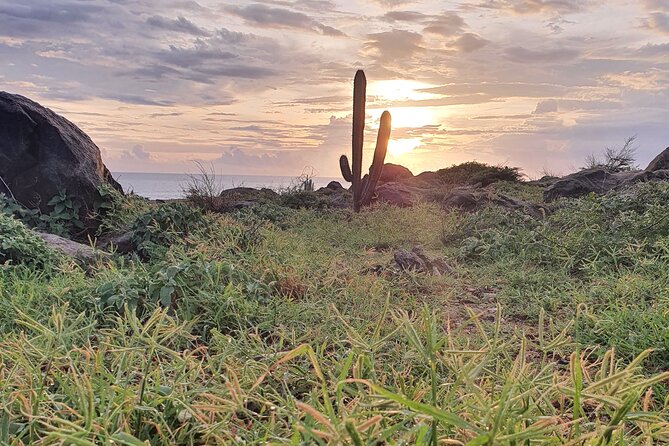 Arikok Sunrise Hiking Tour to Natural Pool + Transportation - Walking plan: Daimari Beach, dunes, sea grape, and Moro-area trails
