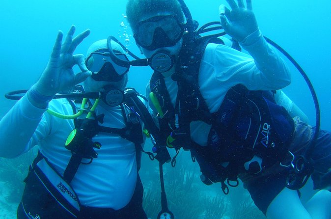 Aruba 1-Tank guided Dive for certified divers with own equipment - Your Own Scuba Gear Is Part of the Deal (Plan for That)