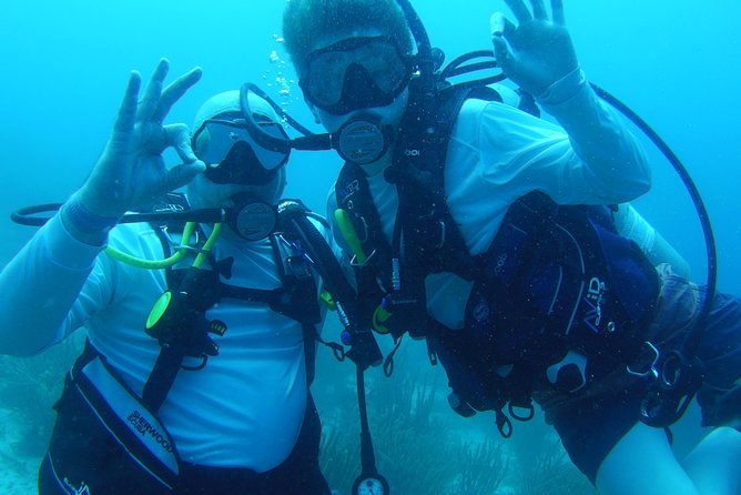 Aruba 1-Tank guided Dive for certified divers with own equipment - Transfers Included: The Hidden Value in the Price