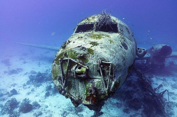 Aruba 1-Tank guided Dive for certified divers with rental equipment - The guide team and how their coaching shows up
