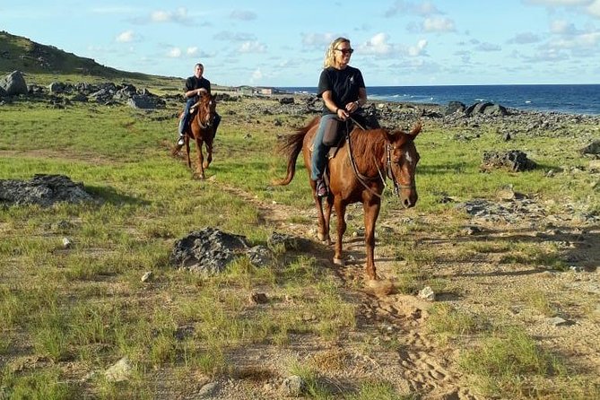 Aruba 2,5 hrs Horseback Riding For Advanced Riders - Key highlights