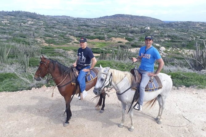 Aruba 2,5 hrs Horseback Riding For Advanced Riders - First ride vibes: Cunucu countryside, not road tourism