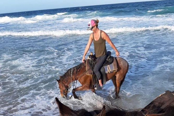 Aruba 2,5 hrs Horseback Riding For Advanced Riders - The ride through Cunucu: trails, dunes, and cactus country