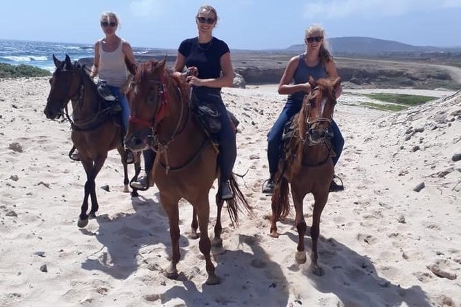 Aruba 2,5 hrs Horseback Riding For Advanced Riders - Heading to the North Coast: rocky shore, crashing surf, real Aruba weather