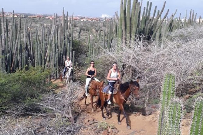 Aruba 2,5 hrs Horseback Riding For Advanced Riders - Pickup, timing, and getting to Rancho Notorious