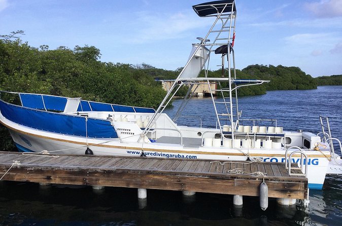 Aruba 2-Tank guided Dive for certified divers / own equipment - Timing and the 24-hour no-fly rule you must plan for
