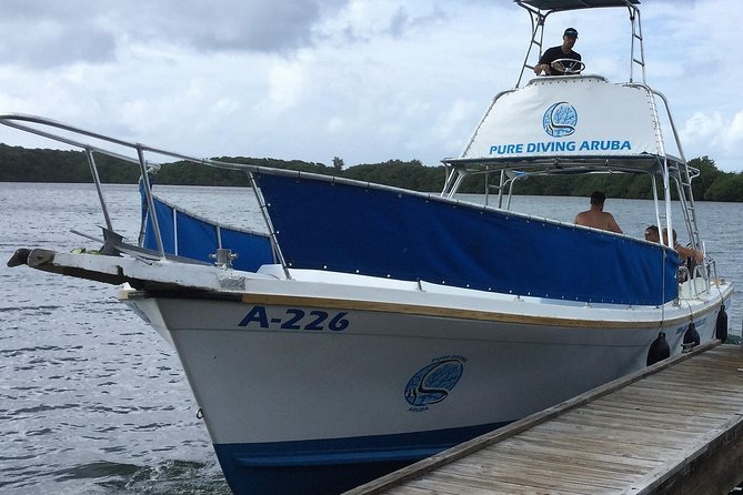 Aruba 2-Tank Guided Dive for Certified Divers / rental equipment - Aruba’s 2-tank plan: strong value for certified divers