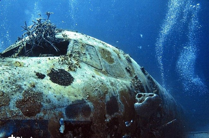 Aruba 2-Tank Guided Dive for Certified Divers / rental equipment - Who this Aruba dive experience is best for