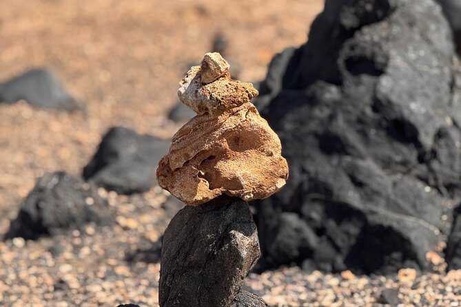 Aruba 6 Hours Private Island Tour - Who this Aruba private tour is best for