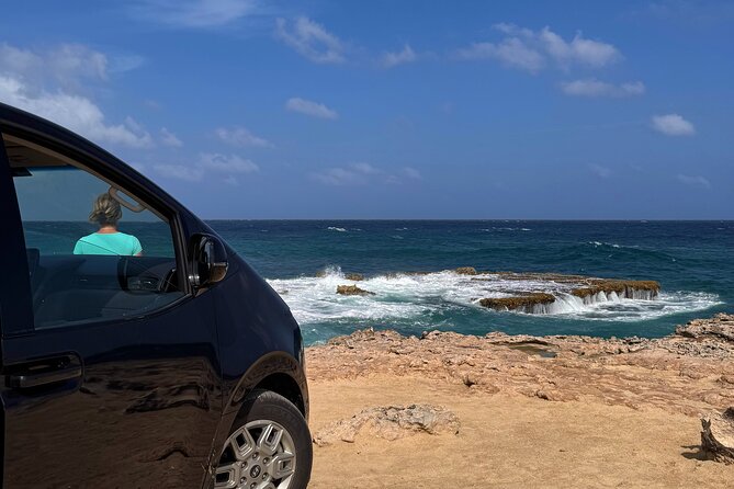 Aruba 6 Hours Private Island Tour - Should you book the Aruba 6-hour private island tour?