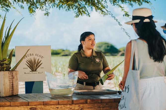 Aruba Baby Beach Express Tour - Key things to know before you go