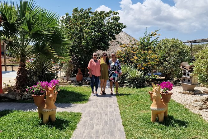 Aruba Beach Ecological Horseback Ride - Why This Aruba Ride Feels Special (and not like a typical beach trip)