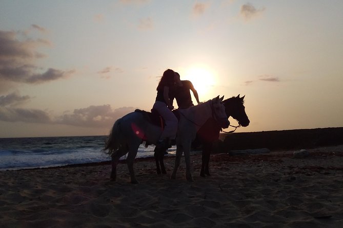 Aruba Beach Ecological Horseback Ride - Riding route and stops: desert-to-coast with a beach photo moment