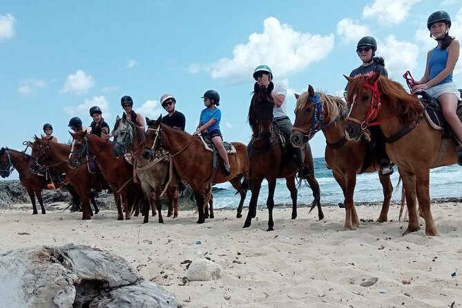 Aruba Beach Ecological Horseback Ride - Who this is best for (and who should choose something else)