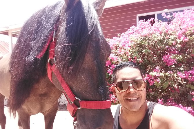 Aruba Beach Ecological Horseback Ride - Practical packing and rider prep (so the day goes smoothly)