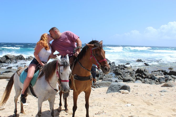 Aruba Beach Ecological Horseback Ride - The horses: how matching and care change the ride