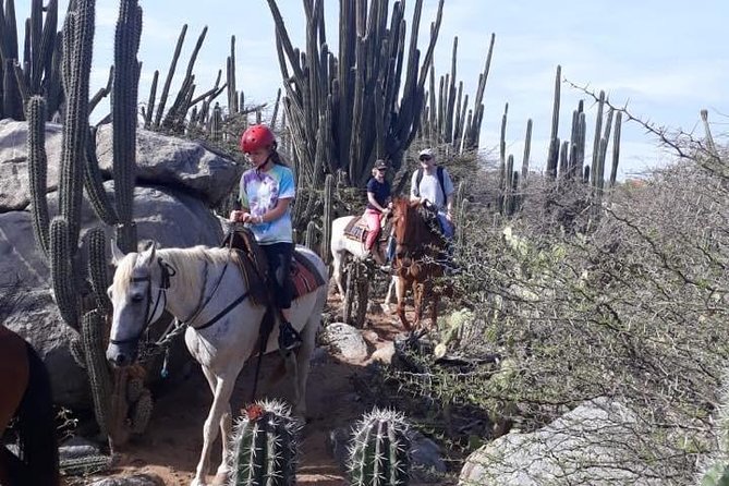 Aruba Countryside: Horseback Adventure to Urirama Cove - The horseback ride itself: instruction, pacing, and terrain
