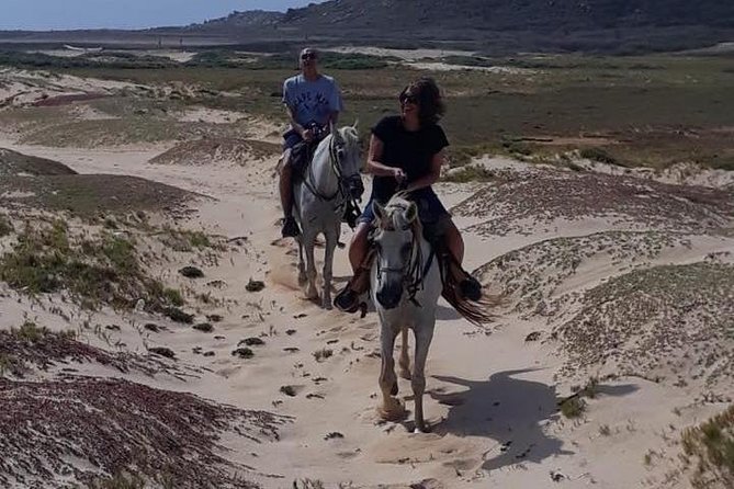 Aruba Countryside: Horseback Adventure to Urirama Cove - Country Bar stops: drinks after the ride (and what to plan for)
