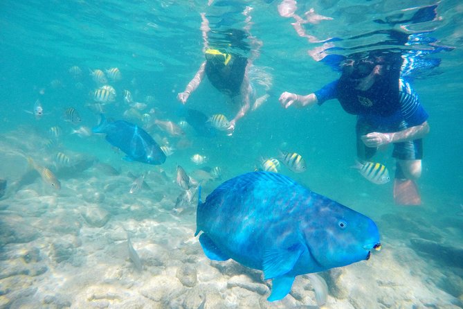Aruba De Palm Island All-Inclusive Day Trip with Transport - Food and Drinks: What Included Means, and How to Get the Most