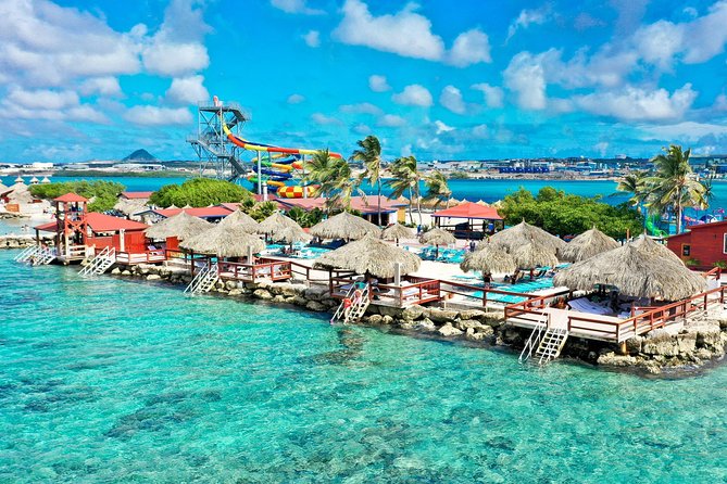 Aruba De Palm Island Day Pass - Snorkeling over the reef: gear, instruction, and what to look for