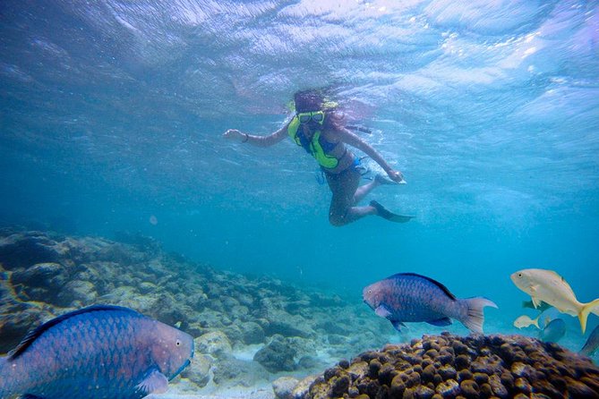 Aruba De Palm Island Day Pass - Beach volleyball, basketball, salsa lessons: the included fun beyond swimming