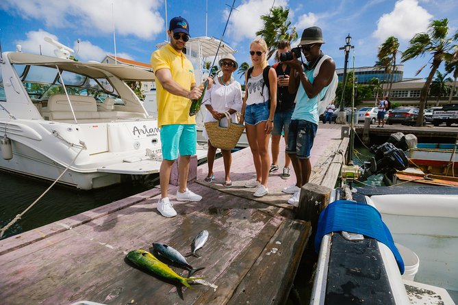 Aruba Downtown Historic and Cultural Walking Tour - Aruba Parliament: Politics Without the Dry Stuff