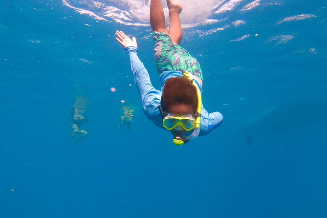 Aruba Element Private Boat Charter (After-Lounge) - Spanish Lagoon (30 minutes): quick reef snorkeling that fits the schedule