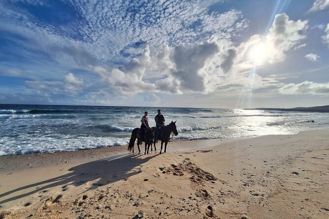 Aruba Horseback Riding Tour For Advanced Riders - Rancho Notorious setup: tack choices, helmets, and getting matched fast