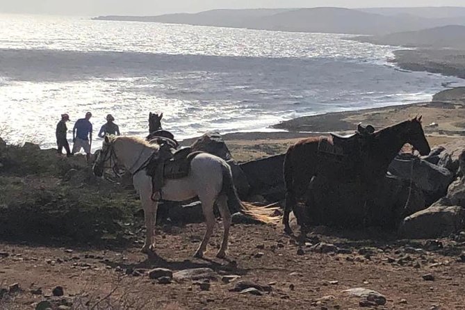 Aruba Horseback Riding Tour For Advanced Riders - Who should book this Aruba horseback tour