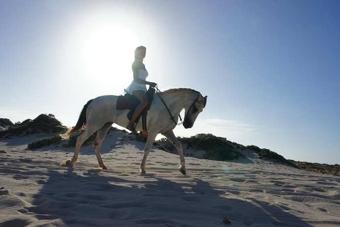 Aruba Horseback Riding Tour For Advanced Riders - Practical tips so your ride feels smooth
