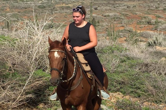 Aruba Horseback Riding Tour For Advanced Riders - Should you book Rancho Notorious Advanced Riders?