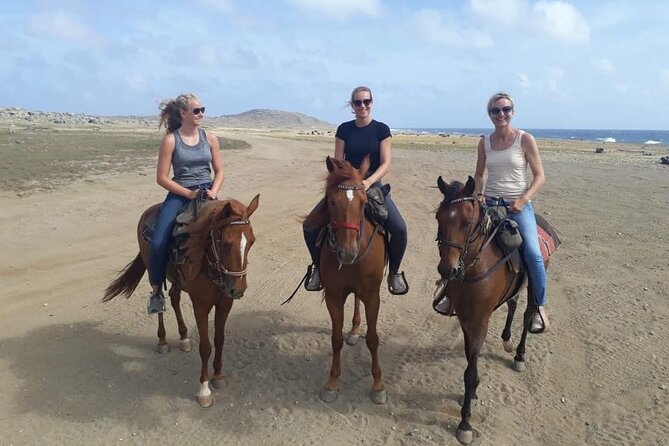 Aruba Horseback Riding Tour to Alto Vista Chapel - Who this tour fits best (and who should pass)