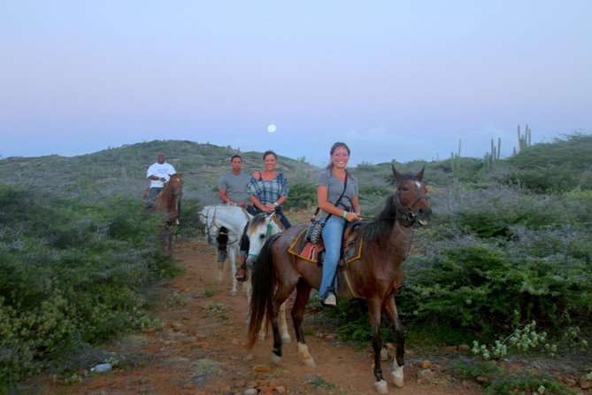 Aruba Horseback Riding Tour to Hidden Lagoon - Key points before you book