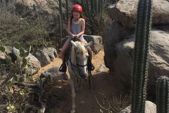 Aruba Horseback Riding Tour to Hidden Lagoon - Through the Cunucu: the part you’ll remember most